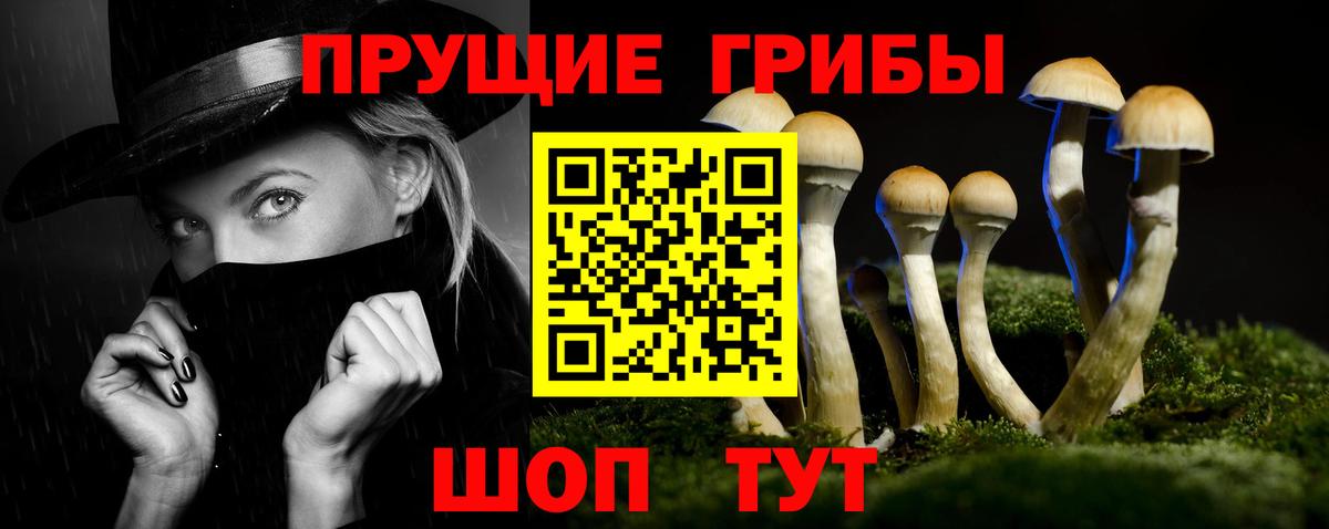 Галлюциногенные грибы Cubensis  Вход с VPN  Приморско-Ахтарск 