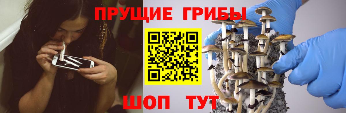 Галлюциногенные грибы мицелий Приморско-Ахтарск